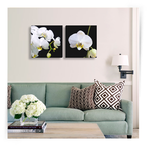Модульные картины Орхидеи, купить модульные картины с орхидеями